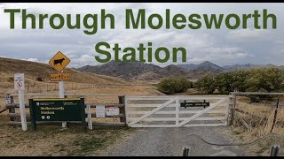 Through Molesworth Station [upl. by Afesoj76]