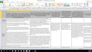 How to Create a Literature Matrix Excel [upl. by Artair365]