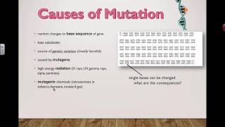 Causes of mutation 2016 IB Biology [upl. by Caresse939]