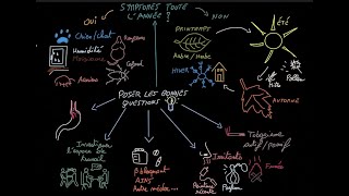 Le système respiratoire et lasthme [upl. by Delcine29]