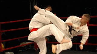 Best Kyokushin Karate KO in History [upl. by Araeic928]