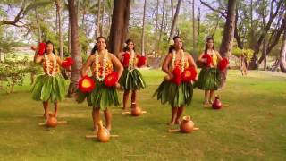 Beautiful Hula  Polynesian Dancers [upl. by Haymo857]