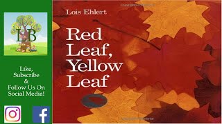 🍁 Red Leaf Yellow Leaf  Read Aloud [upl. by Nyluqcaj]