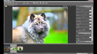 Nikon View NX2 software basics tutorial [upl. by Harragan]