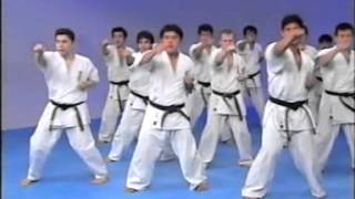 Kyokushin karate encyclopedia 1 [upl. by Ahsinyd]