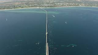 Busselton Jetty Open Water Swim [upl. by Ellery652]