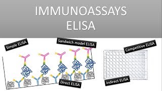 The Principle of Immunoassays ELISA Enzyme Linked Immunosorbent Assay [upl. by Ahsehat]