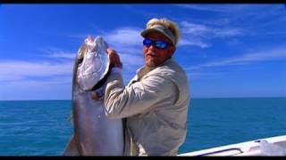 Yellowtail Snapper Grouper and Amberjack Fishing in Key West Florida [upl. by Monarski654]