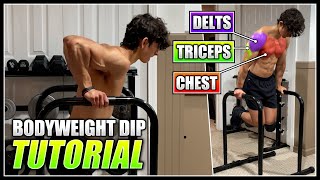 How to do the BODYWEIGHT DIP  2 Minute Tutorial [upl. by Akapol]