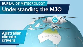 Understanding the Madden–Julian Oscillation MJO [upl. by Aisanat]