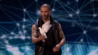 Darcy Oake  Dove Magic [upl. by Wengert]