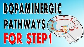 Dopaminergic Pathways [upl. by Schwerin]