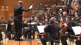 Netherlands Symphony Orchestra  Danse Macabre [upl. by Drue914]