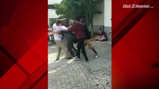 Video surfaces of Parkland suspected shooter fighting at school [upl. by Chee]