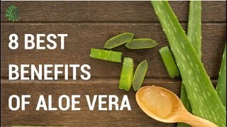 8 Best Benefits Of Aloe Vera  Organic Facts [upl. by Marrin]