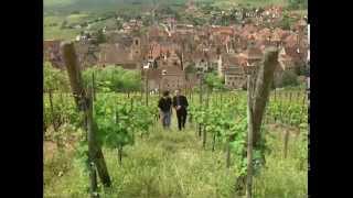 Discover the Wines of Alsace [upl. by Jahdol251]