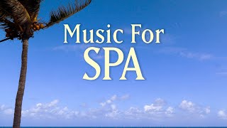 8 HOURS SPA MUSIC PLAYLIST  Healing Arts Massage amp Meditation  with Earth Resonance Frequency [upl. by Kylander]