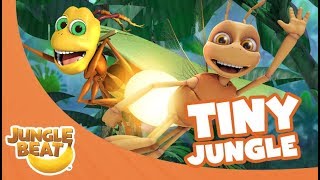 Tiny Jungle  Jungle Beat Compilation Full Episodes [upl. by Imehon747]