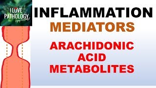 INFLAMMATION Part 5 Chemical Mediators ARACHIDONIC ACID METABOLITES [upl. by Lundeen372]