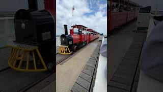 Underwater Observatory Tour  Busselton Jetty [upl. by Ecnerret]