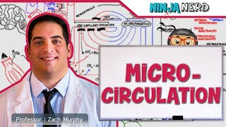 Cardiovascular  Microcirculation [upl. by Ecnaiva]