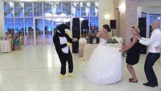 La danse du pingouin  Pinguin dance HD [upl. by Nager186]