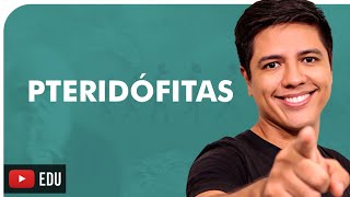 PTERIDÓFITAS  BOTÂNICA  Prof Kennedy Ramos [upl. by Aidua]