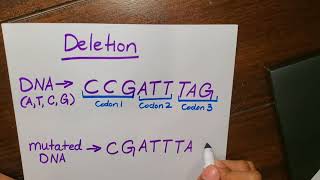 How to Mutations Insertion Deletion Substitution for High School Biology Students [upl. by Reedy955]