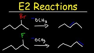 E2 Reaction Mechanism  Hoffman Elimination vs Zaitsevs Rule [upl. by Apollus]