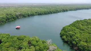 CIENAGA DE LA CAIMANERA EN COVEÑAS SUCRE [upl. by Aerdnwahs]