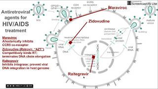 Antiretroviral agents for HIV  AIDS treatment [upl. by Ranna]