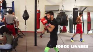 RYAN GARCIA amp JORGE LINARES AFTER SPARRING EACHOTHER [upl. by Llevel458]