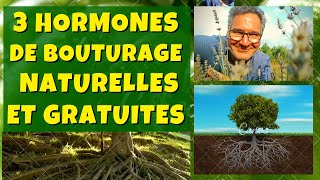 3 hormones de bouturage naturelles et gratuites [upl. by Ralfston]