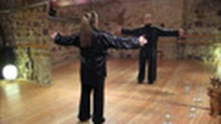 Taiji Qigong Shibashi 1 Set Qigong BadenBaden [upl. by Nayrbo]