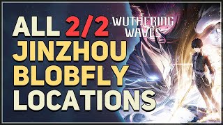 All Jinzhou Blobfly Locations Wuthering Waves [upl. by Ajim889]