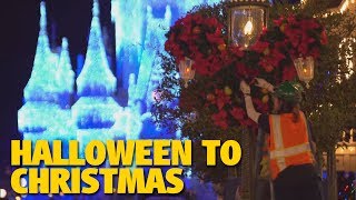 Magic Kingdom Transforms from Halloween to Christmas  Walt Disney World [upl. by Knobloch843]