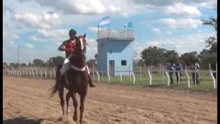 Hipódromo Camarero EN VIVO [upl. by Anuaik135]