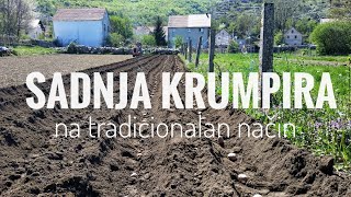 Sadnja KRUMPIRA na TRADICIONALNI način [upl. by Athalie]