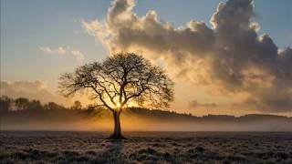 Ontspanningsmuziek rustgevende muziek  Meditatie  Slaap  Relax [upl. by Llehsor]