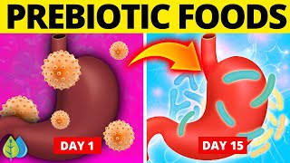 🦠Top 6 Best Prebiotic Foods That Improve Gut Health [upl. by Yrohcaz]