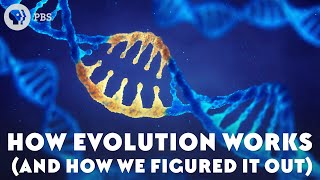 How Evolution Works And How We Figured It Out [upl. by Wakeen134]