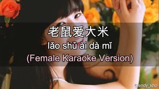 Lao shu Ai Da Mi 老鼠愛大米  伴奏 KTV Karaoke Female key pinyin lyrics [upl. by Lerrej810]