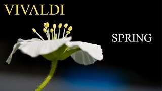 VIVALDI The Four Seasons Spring quotLa primaveraquot FULL  Classical Music HD [upl. by Lleznov]