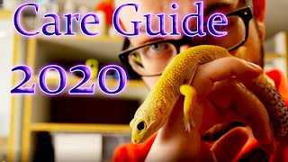 Leopard Gecko Complete Care Guide 2020 [upl. by Kaine205]