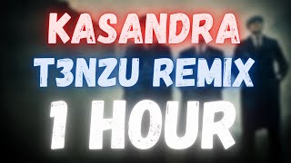 T3NZU  Kasandra  1HOUR [upl. by Rusty234]