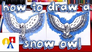 How To Draw A Realistic Snow Owl [upl. by Octavla]