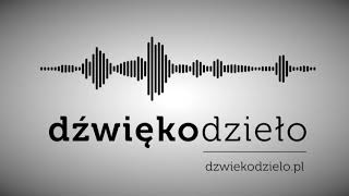 Skrzypi Wóz  Dźwiękodzieło Instrumental Podkład [upl. by Wilma]