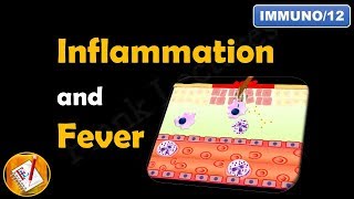 Inflammation or Inflammatory Response FLImmuno12 [upl. by Rome]