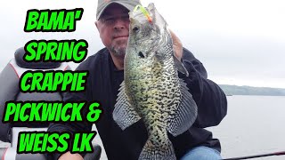 ALABAMA CRAPPIE IN APRIL Pickwick amp Weiss Lake Spring Trips [upl. by Nananne]