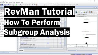 RevMan Tutorial  How To Perform Subgroup Analysis [upl. by Arah]